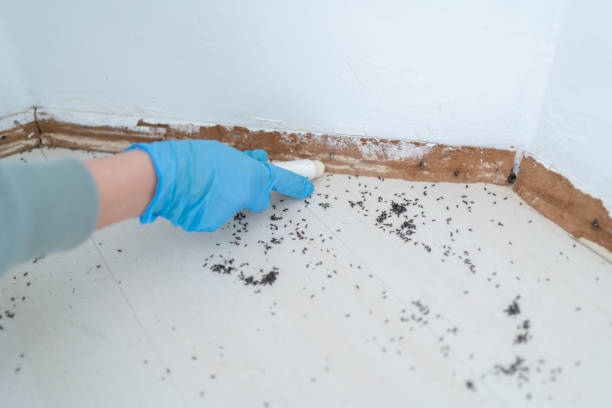 Best Commercial Pest Control Services  in Fort Hunt, VA